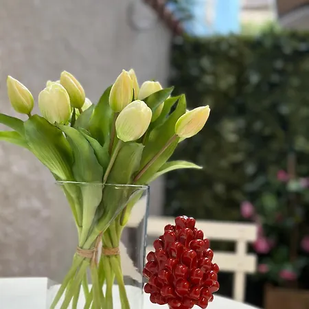 Le Perle Di Naxos Джардіні-Наксос